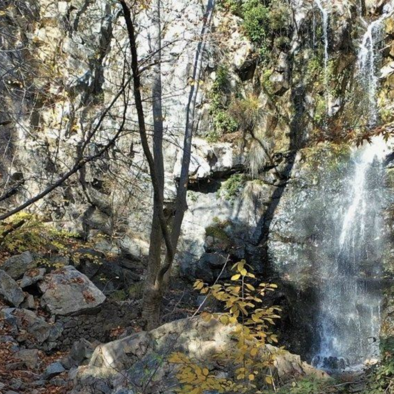 Screenshot 2023-12-01 at 5.23.17 PM